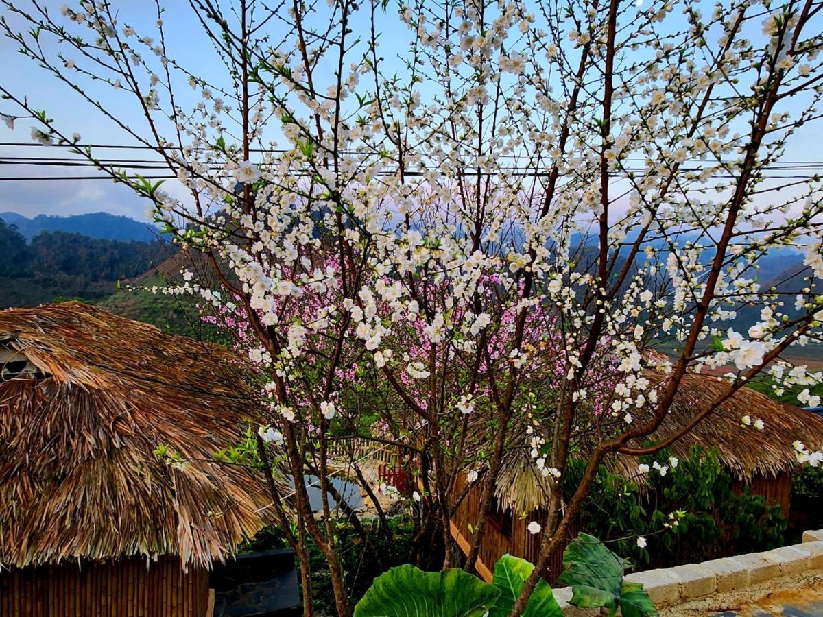 Moc Chau Peachy Garden Apartman Kültér fotó