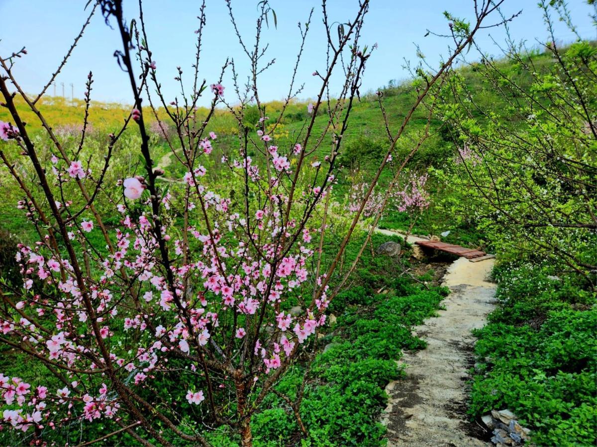 Moc Chau Peachy Garden Apartman Kültér fotó