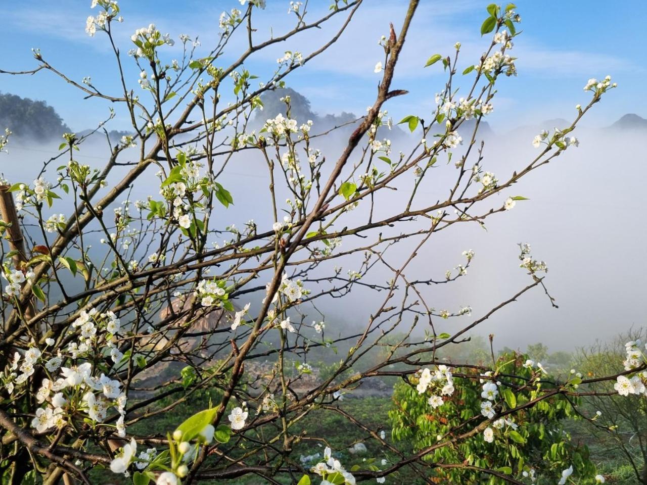 Moc Chau Peachy Garden Apartman Kültér fotó
